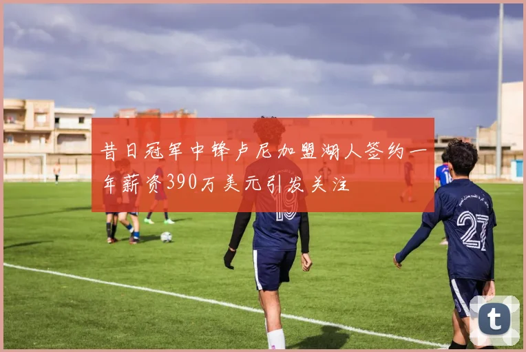昔日冠军中锋卢尼加盟湖人签约一年薪资390万美元引发关注